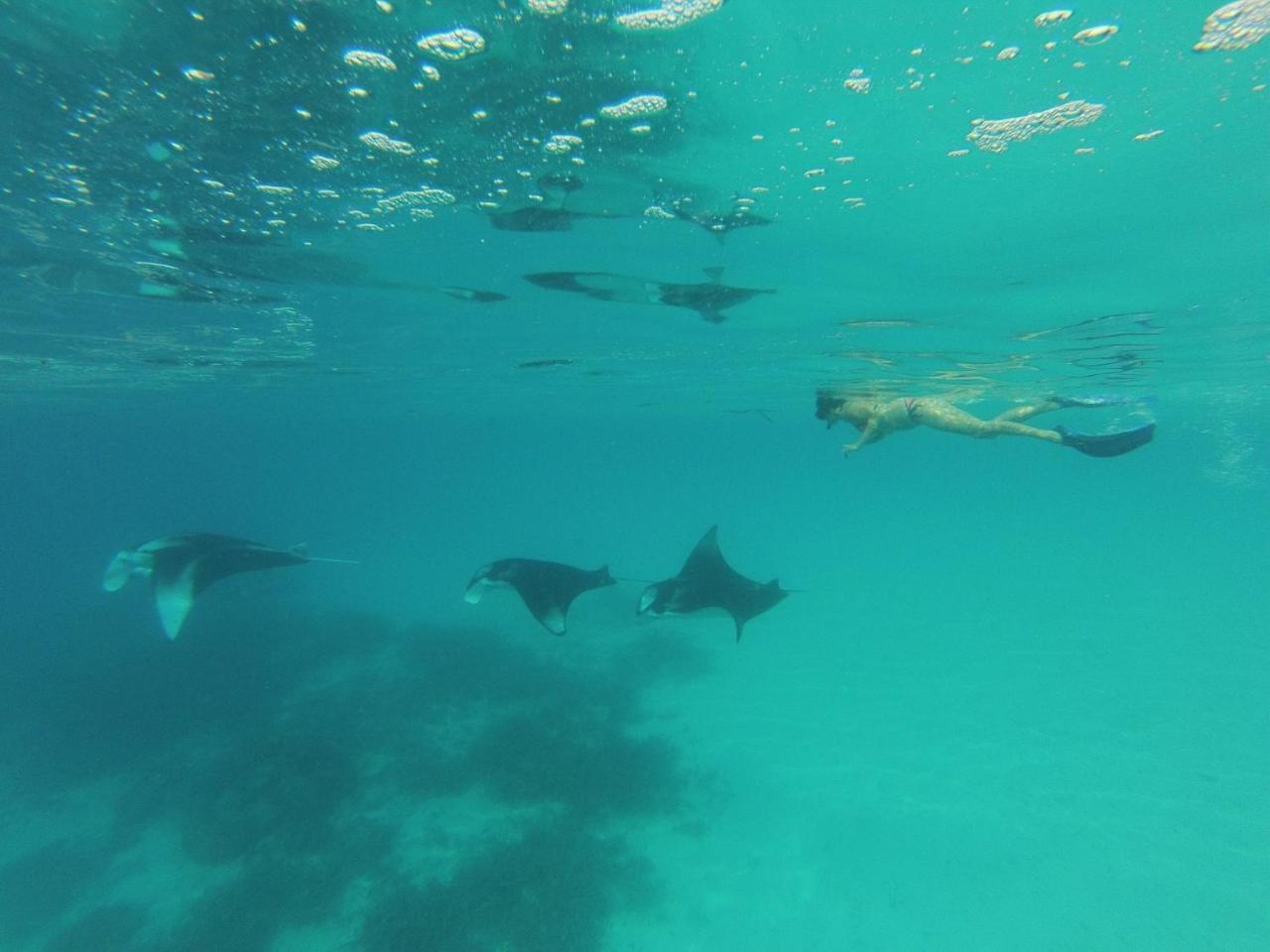 Koimala Beach Ukulhas Екстериор снимка